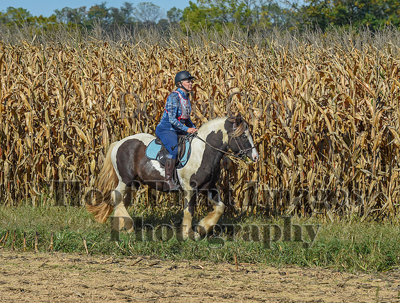 CheshirePonyClubPC(10-6-24)0211