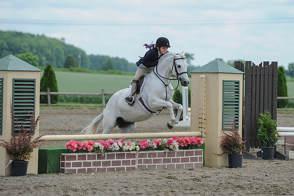 SC(6-28-14)SMPony0091