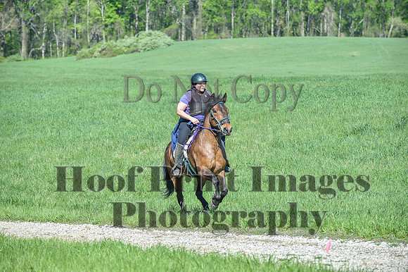 ChesapeakeSpring(4-27-25)0593