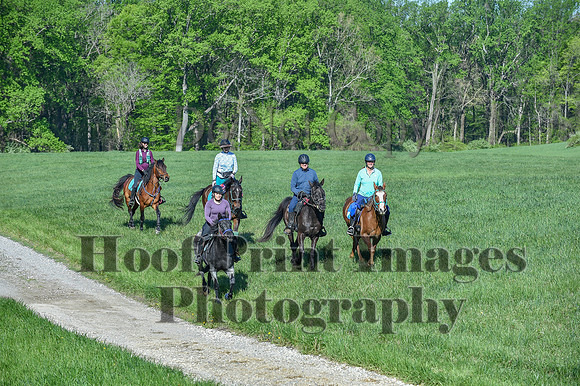 ChesapeakeSpring(4-27-25)0473