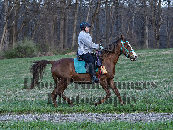 ChesapeakeSpring(4-10-22)0389