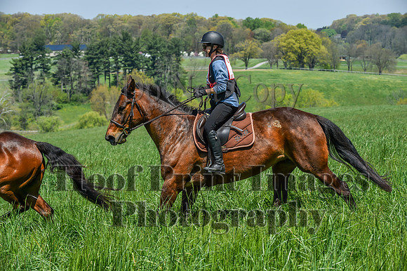 CheshireSpringPC1(4-28-24)0449