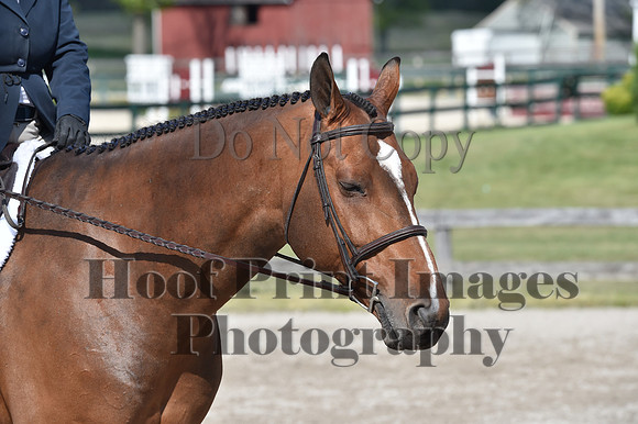 StCSun(5-15-16)PrAd0202