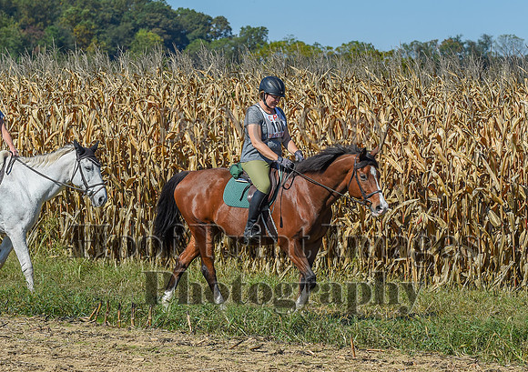 CheshirePonyClubPC(10-6-24)0402