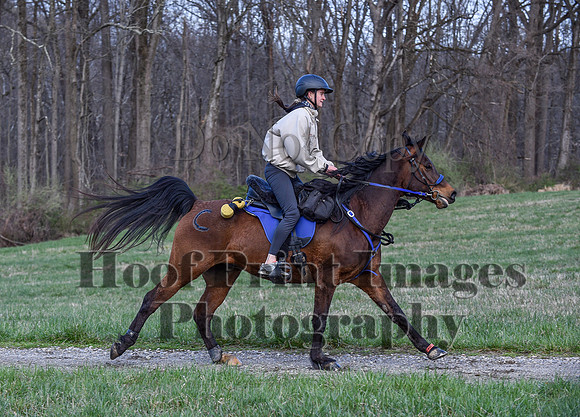 ChesapeakeSpring(4-10-22)0328