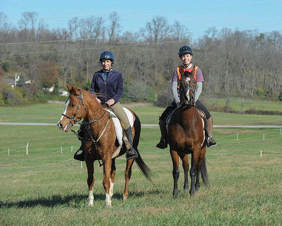 BHPC(11-15-15)0055