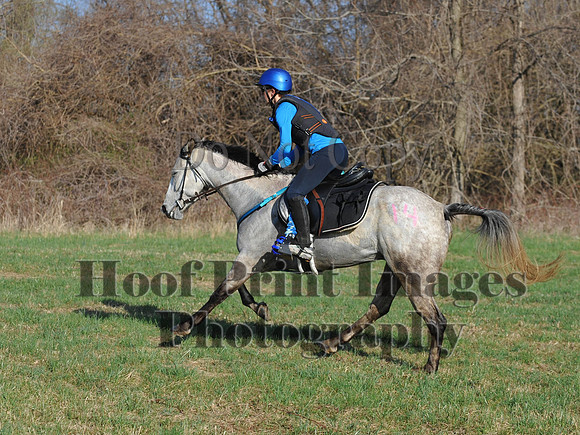 Foxcatcher(4-12-14)0561