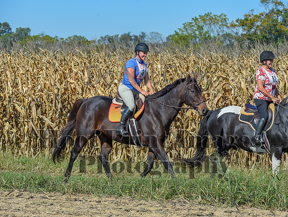 CheshirePonyClubPC(10-6-24)0221