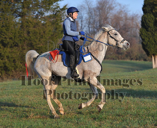 Foxcatcher(4-12-14)0434
