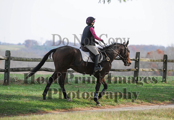 AndrewsBr(11-9-14)0438
