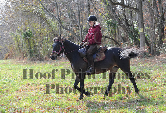 AndrewsBr(11-9-14)0554