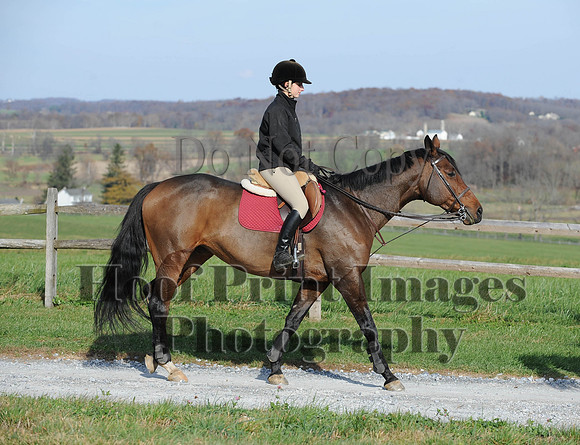 AndrewsBr(11-9-14)0661