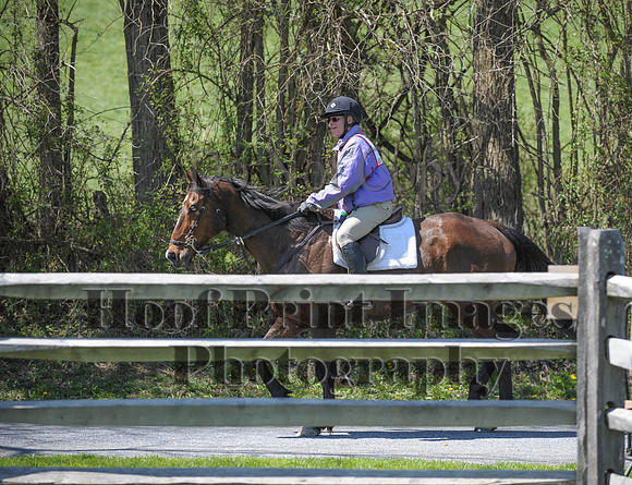 CheshirePC(4-16-16)0564