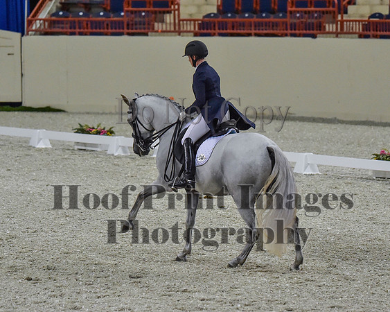 CWdressageII(8-21-16)1708