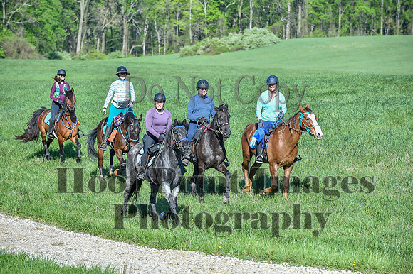 ChesapeakeSpring(4-27-25)0478