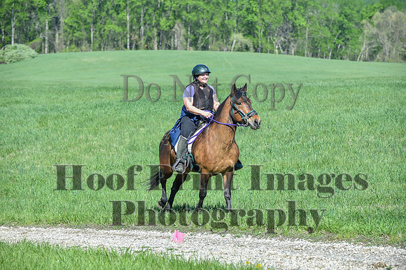 ChesapeakeSpring(4-27-25)0596