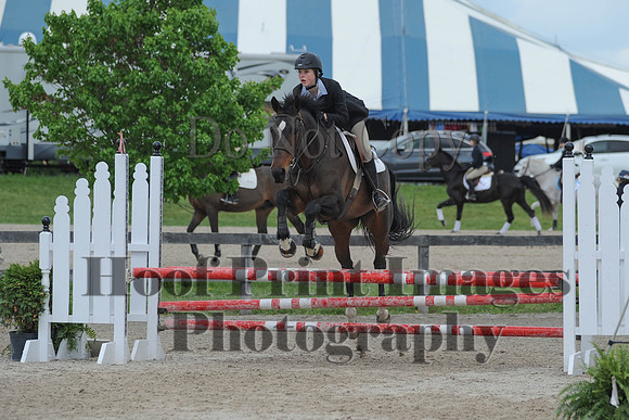 BRSa(5-17-14)0.8mJCl0031