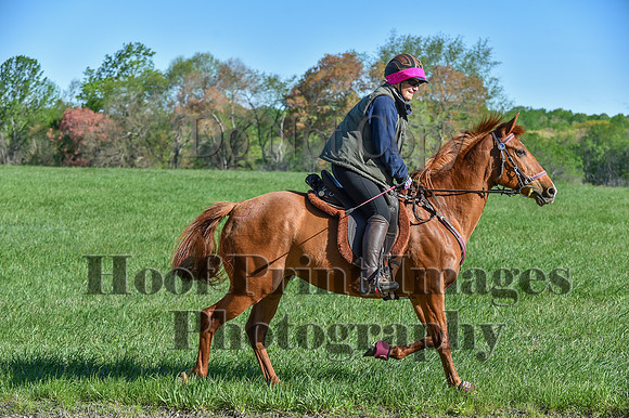ChesapeakeSpring(4-27-25)0459