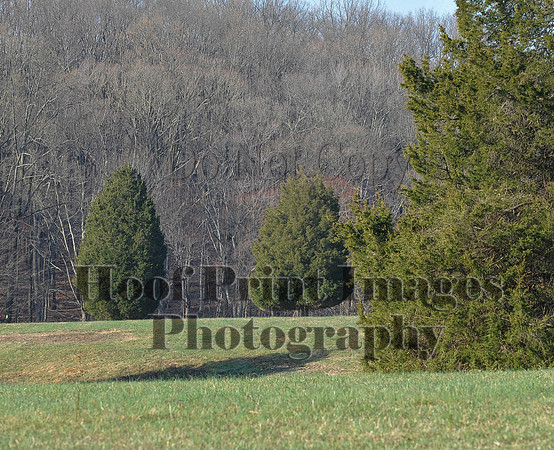 Foxcatcher(4-12-14)0545