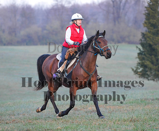 Foxcatcher(4-12-14)0097