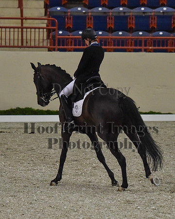 CWdressageII(8-21-16)0667