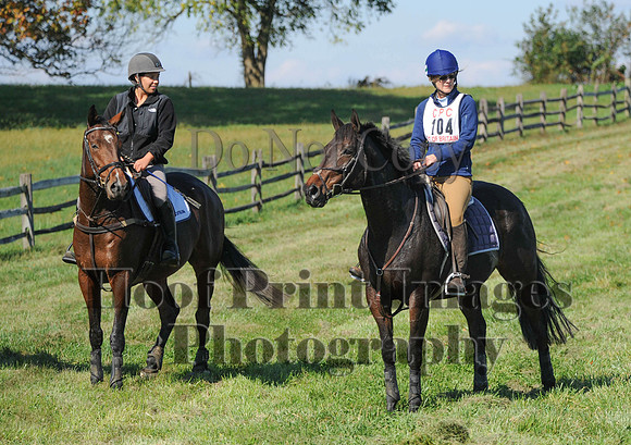 Cheshire(10-20-13)0085