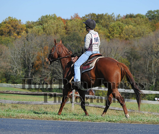 Cheshire(10-20-13)0541