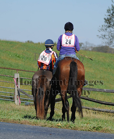 Cheshire(10-20-13)0195