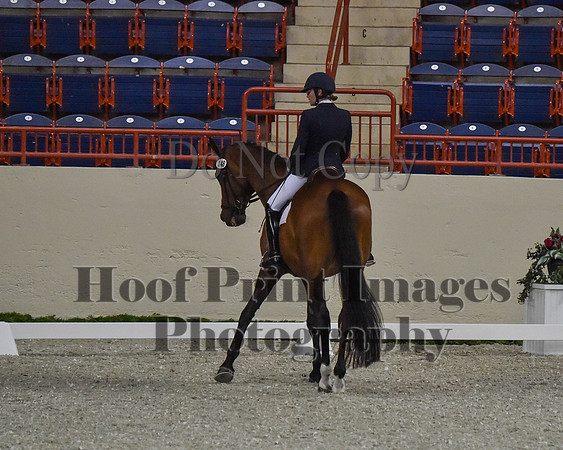 CWdressageII(8-21-16)0412