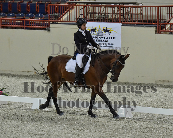 CWdressageII(8-21-16)1629