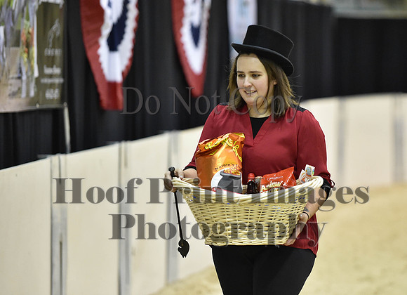 MidAtEqFest(11-14-15)1344
