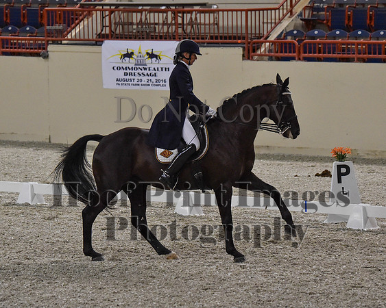 CWdressageII(8-21-16)0724