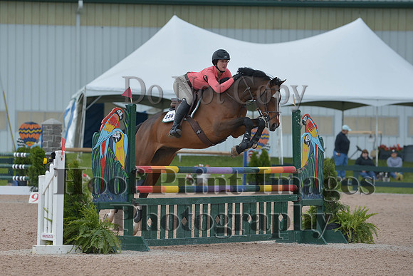 BRSa(5-17-14)HChAdJ0219
