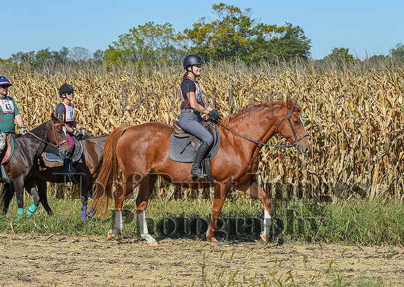 CheshirePonyClubPC(10-6-24)0178