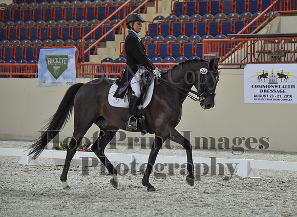 CWdressageI(8-20-16)1462