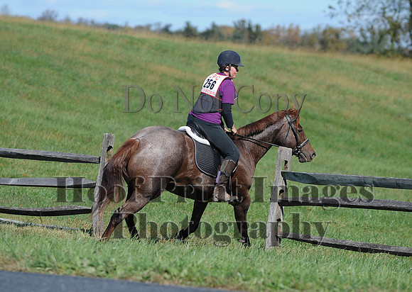Cheshire(10-19-14)0063