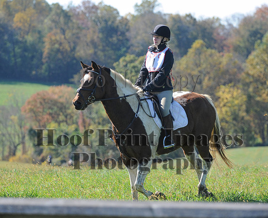 Cheshire(10-20-13)0049