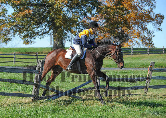 Cheshire(10-19-14)0374