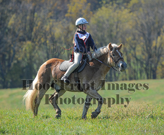Cheshire(10-20-13)0493