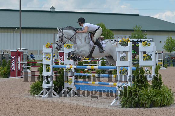 BRSa(5-17-14)HChAdJ0233