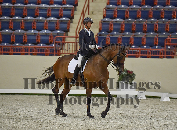 CWdressageI(8-20-16)1359