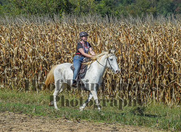 CheshirePonyClubPC(10-6-24)0313