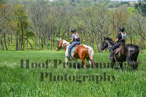 CheshireSpringPC1(4-28-24)0406