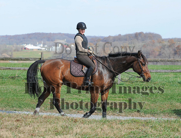 AndrewsBr(11-9-14)0268