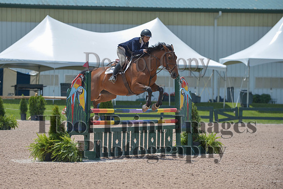 BRSa(5-17-14)HChAdJ0273