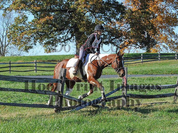 Cheshire(10-19-14)0436
