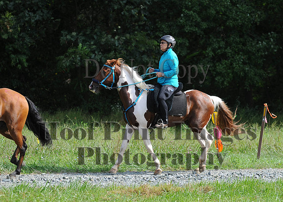 ChesapeakeCTR(9-20-14)0598