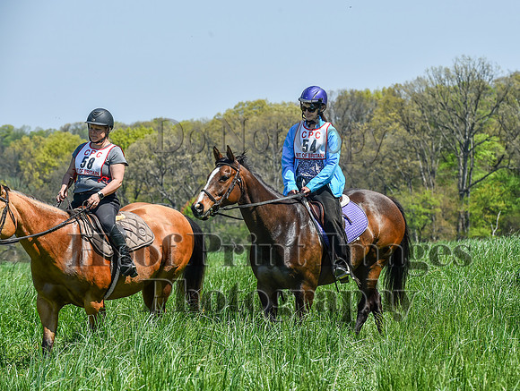 CheshireSpringPC1(4-28-24)0471