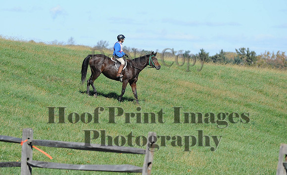 Cheshire(10-19-14)0127