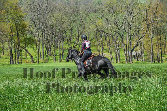CheshireSpringPC1(4-28-24)0494